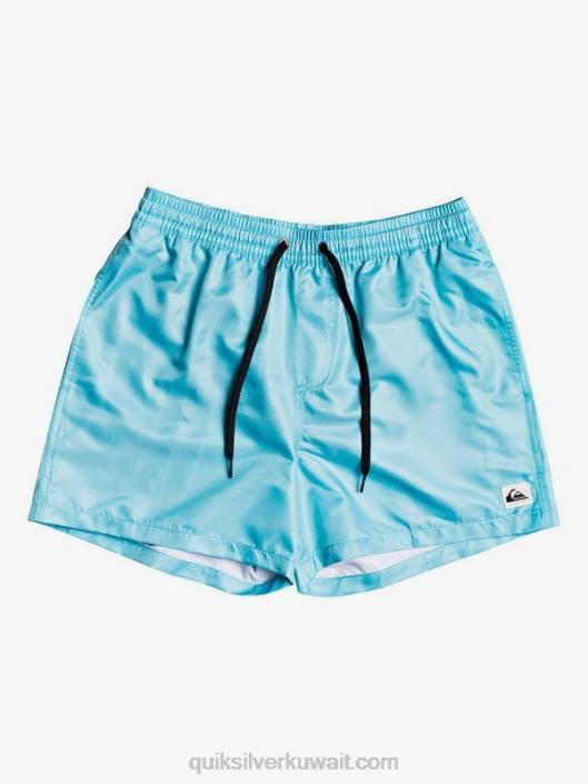 كل يوم 15 وابل Quiksilver رجال 6800466 الأزرق السلمي
