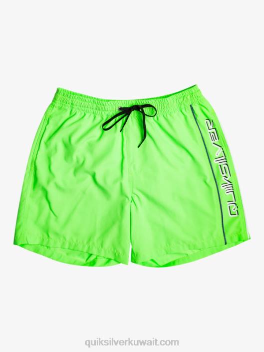 كل يوم فيرت 16 وابل Quiksilver رجال 6800696 الوزغة الخضراء
