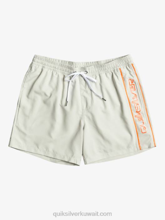 كل يوم فيرت 16 وابل Quiksilver رجال 6800700 البنفسجي الرمادي
