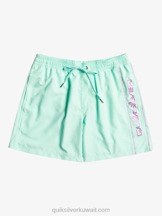 كل يوم فيرت 16 وابل Quiksilver رجال 6800702 زجاج الشاطئ