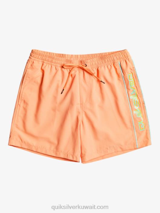 كل يوم فيرت 16 وابل Quiksilver رجال 6800703 سمك السلمون الطازج