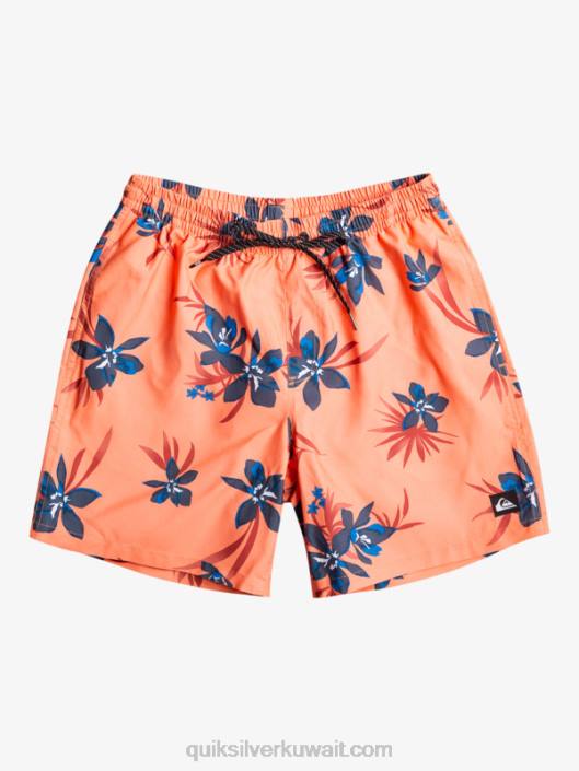 مزيج كل يوم 17 وابل Quiksilver رجال 68001209 سمك السلمون الطازج