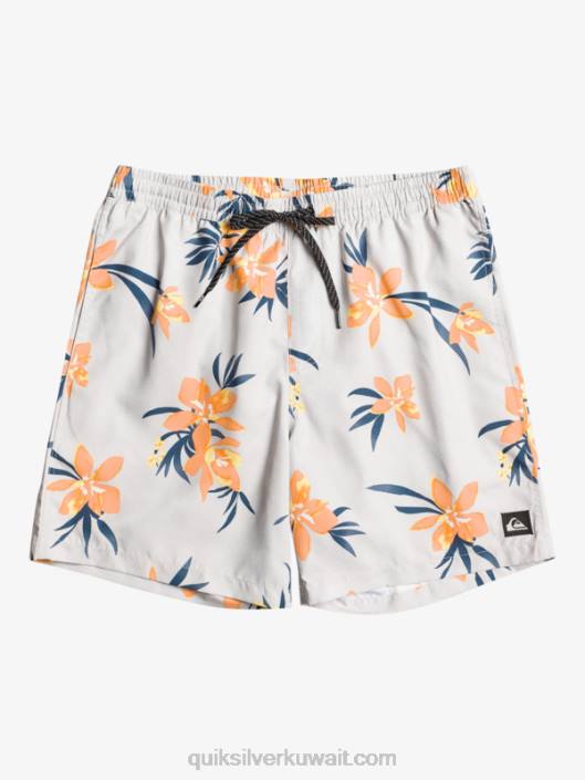 مزيج كل يوم 17 وابل Quiksilver رجال 68001210 البنفسجي الرمادي