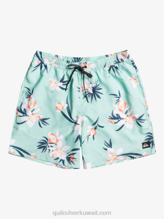 مزيج كل يوم 17 وابل Quiksilver رجال 68001211 زجاج الشاطئ