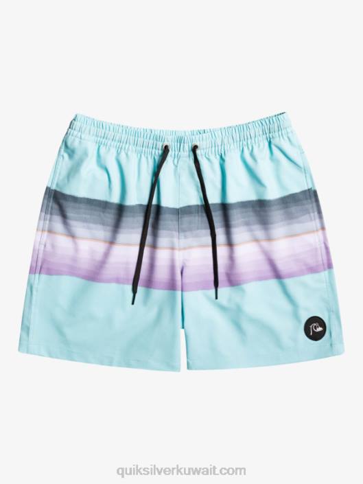 صبغة الراتنج 17 وابل Quiksilver رجال 68001268 الملاك الأزرق