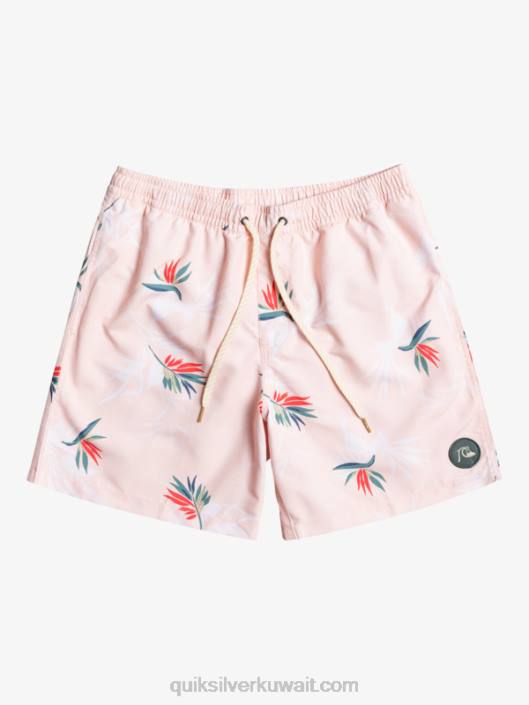 مزيج كل يوم 17 وابل Quiksilver رجال 68001467 وردة محجبة