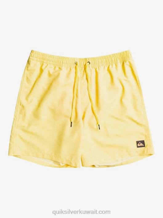 كل يوم 17 وابل Quiksilver رجال 68001526 قشر الليمون