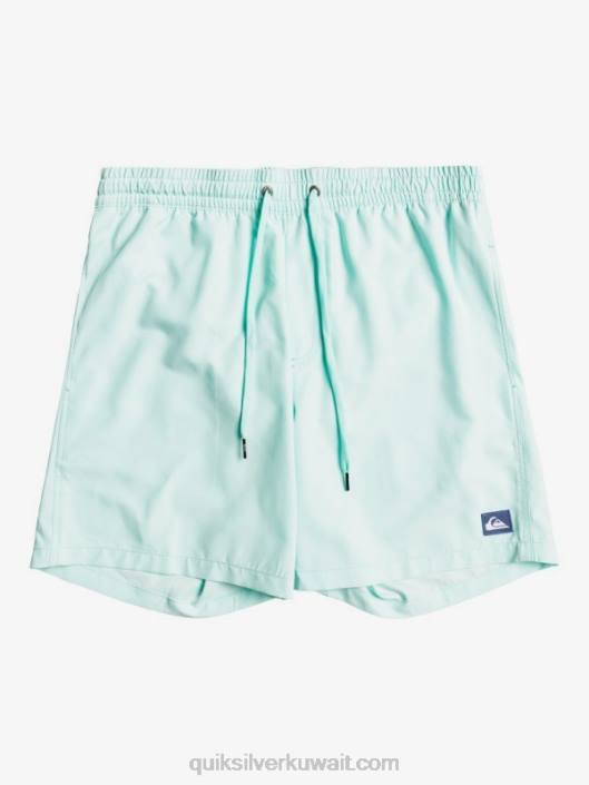 كل يوم 17 وابل Quiksilver رجال 68001529 ضوء أزرق