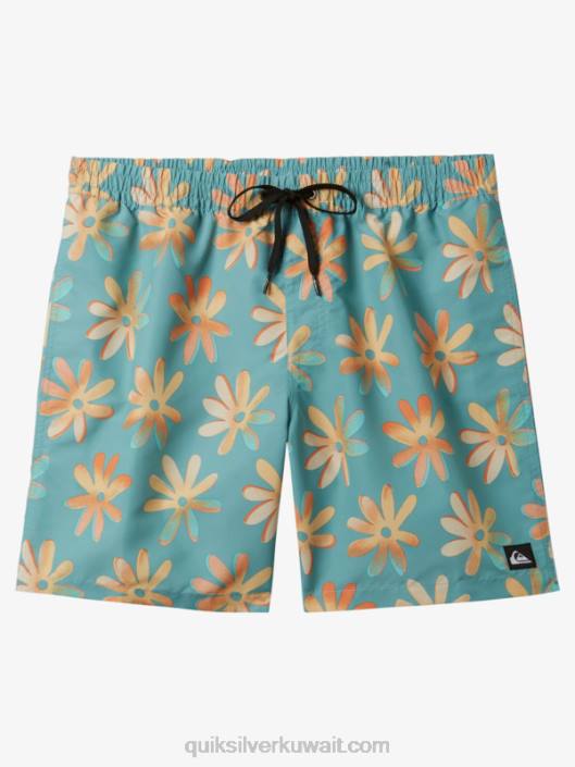 إعادة خلط 17 وابل Quiksilver رجال 6800353 النقش الأزرق
