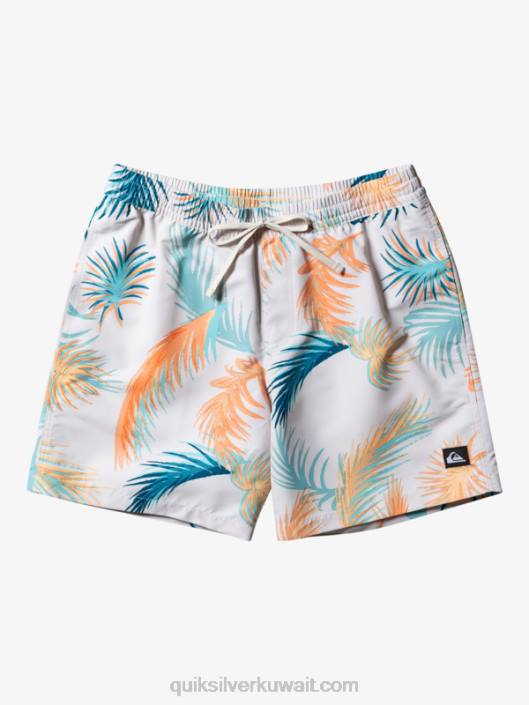 إعادة خلط 17 وابل Quiksilver رجال 6800355 البتولا