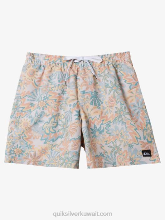 إعادة خلط 17 وابل Quiksilver رجال 6800357 البتولا