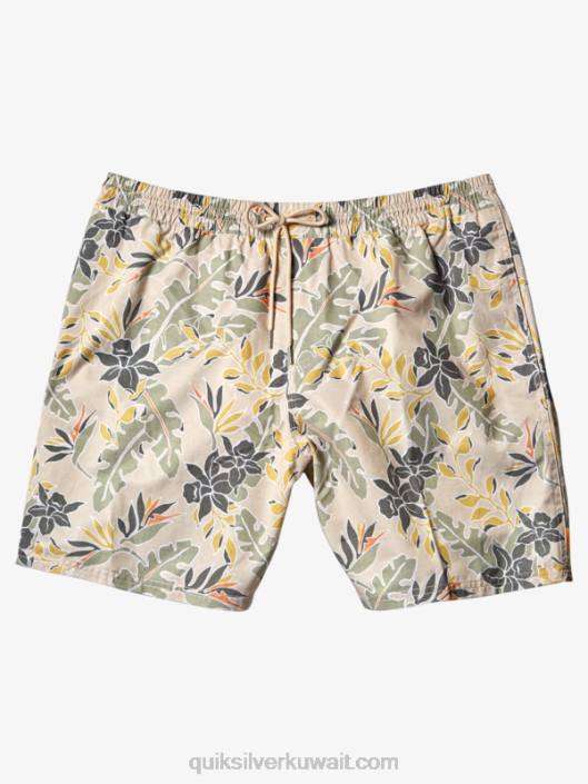 الماء يشعر الكمال 17 وابل Quiksilver رجال 6800408 الأرز البني يشعر الكمال