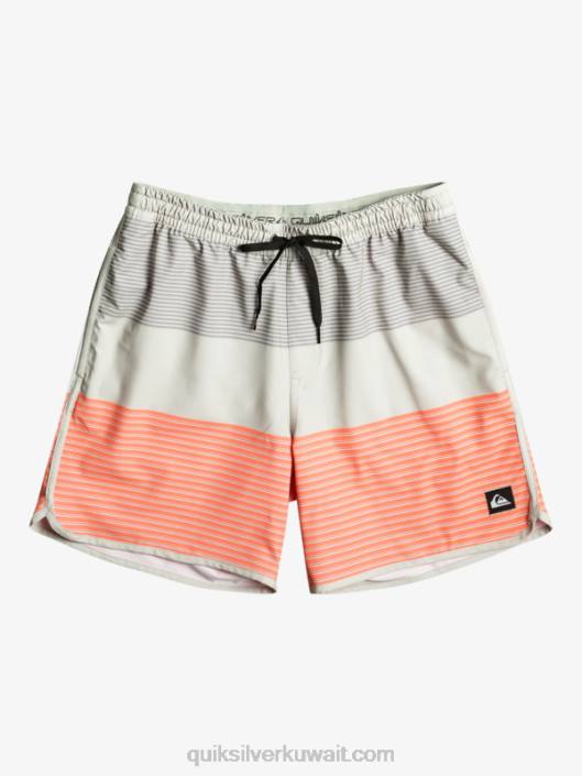 ركوب الأمواج تيجوانا 17 وابل Quiksilver رجال 6800513 البنفسجي الرمادي