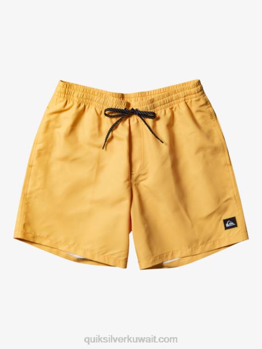 كل يوم 17 وابل Quiksilver رجال 6800623 صفار أصفر