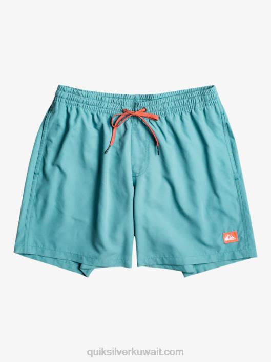 كل يوم 17 وابل Quiksilver رجال 6800627 بريتاني الأزرق