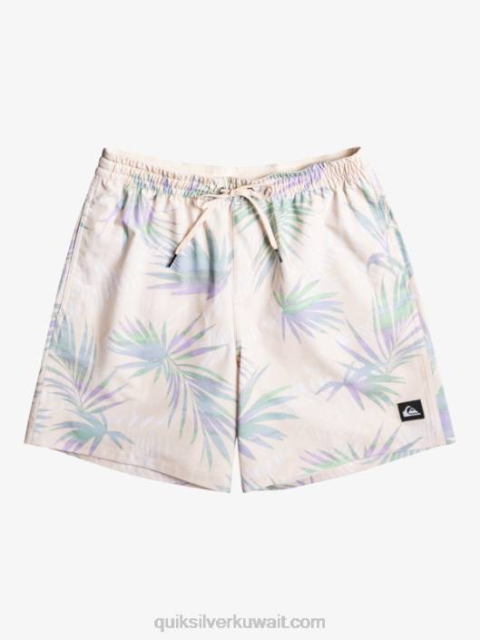 مزيج الأمواج 17 وابل Quiksilver رجال 6800635 البتولا