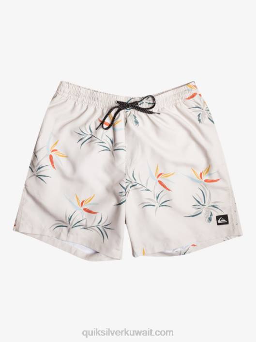 مزيج كل يوم 17 وابل Quiksilver رجال 6800676 البتولا