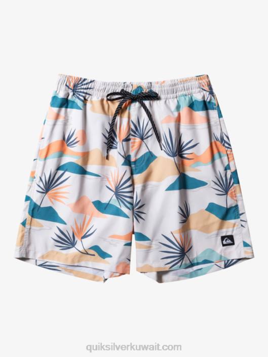 مزيج كل يوم 17 وابل Quiksilver رجال 6800678 البتولا