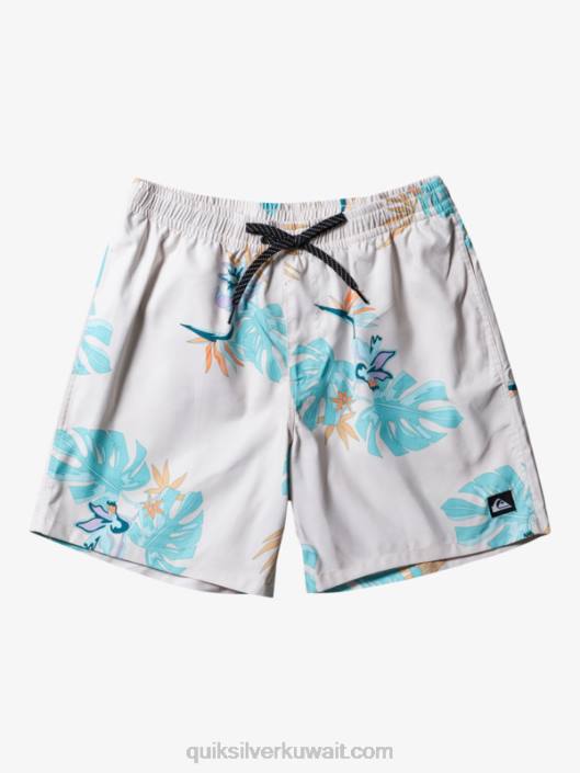 مزيج كل يوم 17 وابل Quiksilver رجال 6800679 أبيض