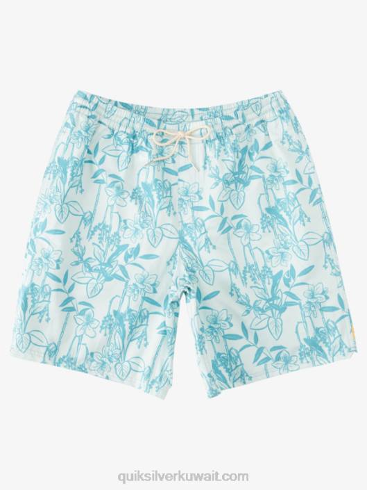 طرق الماء فضفاضة 17 وابل Quiksilver رجال 6800939 المراحيض الخضراء الدقيقة vy