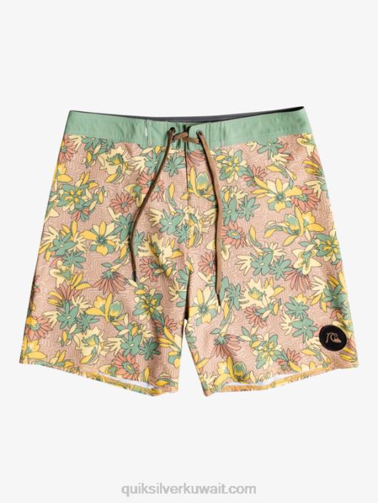 غسل الأمواج 18 شورت Quiksilver رجال 68001754 قضيب ذهبي
