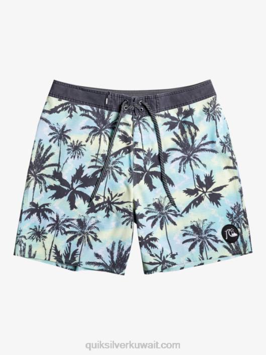 غسل الأمواج 18 شورت Quiksilver رجال 68001757 عشبة الحوذان