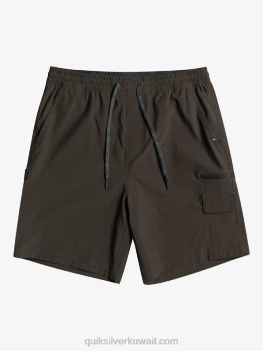 تايجر كارغ 18 شورت برمائي Quiksilver رجال 6800251 مدرج المطار