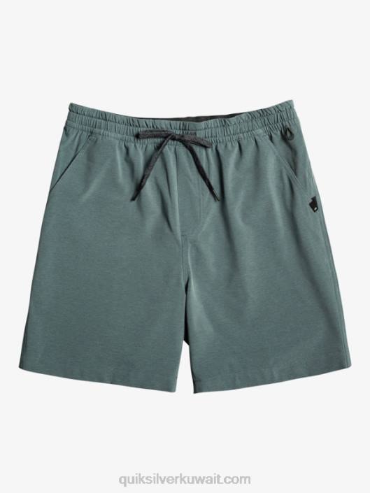 تايجر هيذر 18 شورت بورد برمائي Quiksilver رجال 6800305 لائحة مظلمة