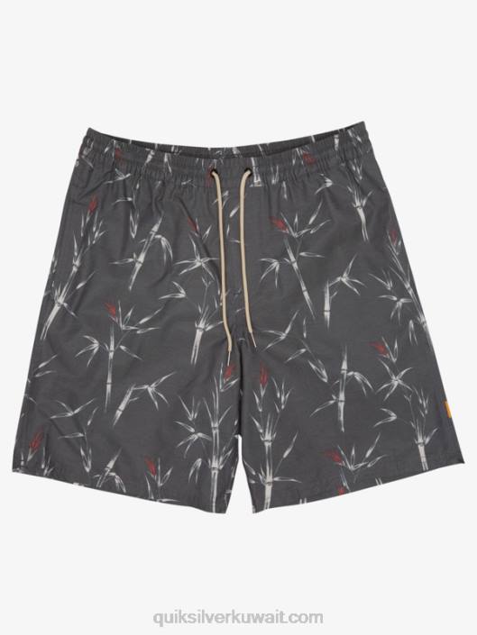 عيدان الماء قبل عيدان الماء 19 وابل Quiksilver رجال 68001840 أسود قبل عيدان المجلد