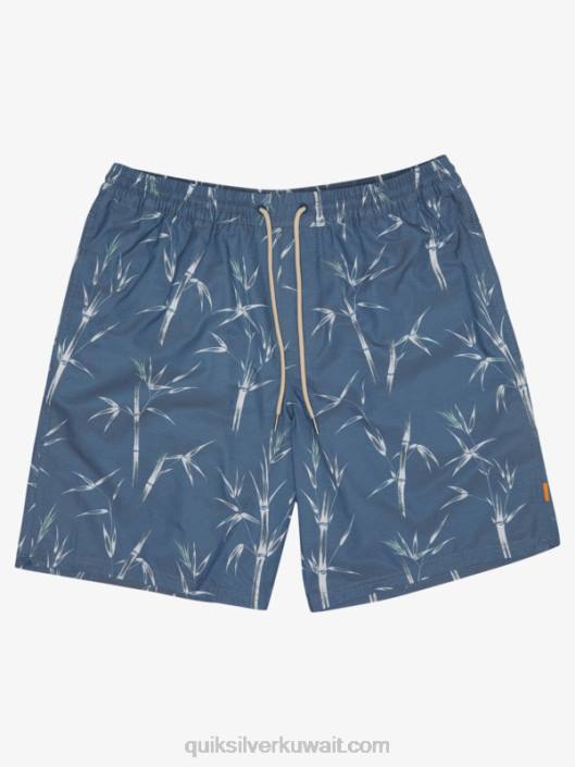عيدان الماء قبل عيدان الماء 19 وابل Quiksilver رجال 68001841 الراية الزرقاء prechopstick المجلد