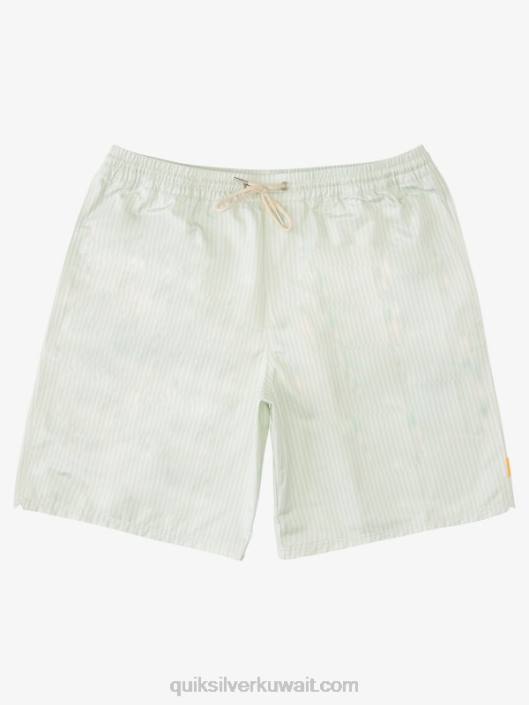شريط سطح السفينة المائية 19 وابل Quiksilver رجال 68001843 شريط سطح أخضر رقيق