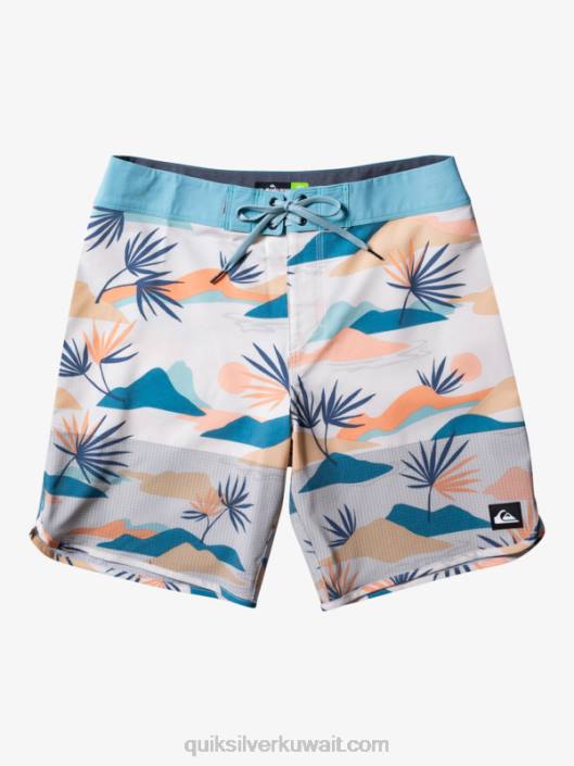 هايلايت اسكالوب 19 شورت Quiksilver رجال 680029 البتولا
