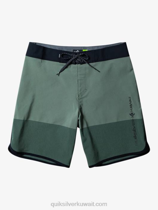 هايلايت اسكالوب 19 شورت Quiksilver رجال 680030 زعتر