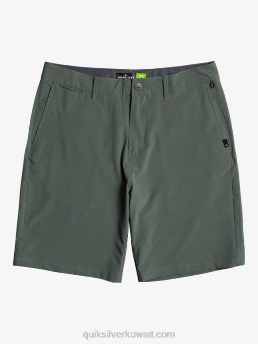 الاتحاد البرمائي 20 الهجين السراويل Quiksilver رجال 68001321 زعتر