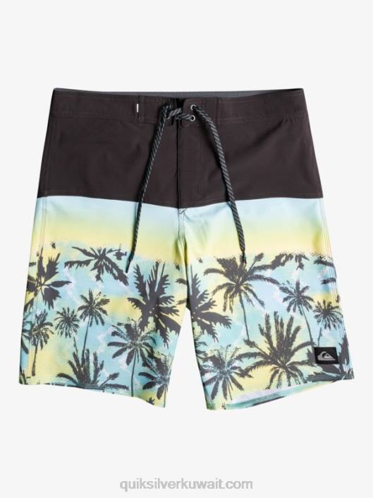 لوح حرير الأمواج 20 شورت Quiksilver رجال 68001461 مدرج المطار