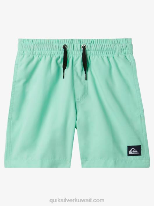 2-7 كل يوم 12 وابل Quiksilver أولاد 68001999 زجاج الشاطئ