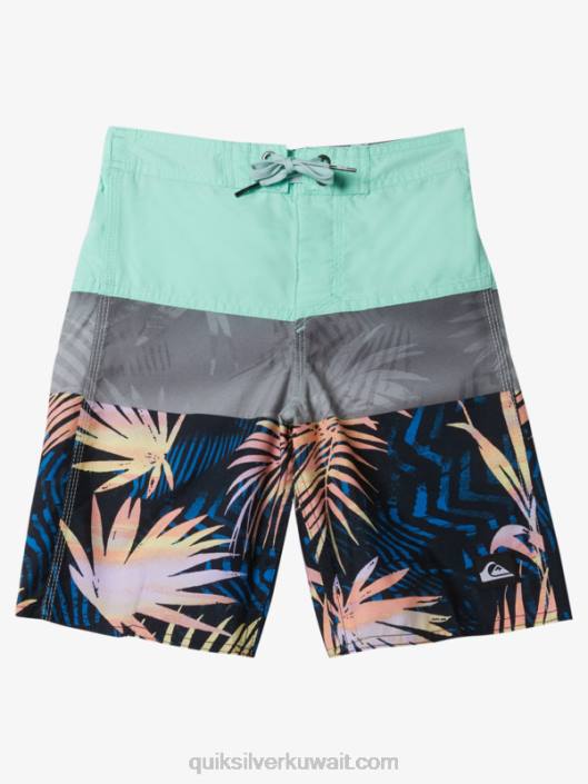 2-7 شورت كل يوم 14 لوح Quiksilver أولاد 68001899 زجاج الشاطئ
