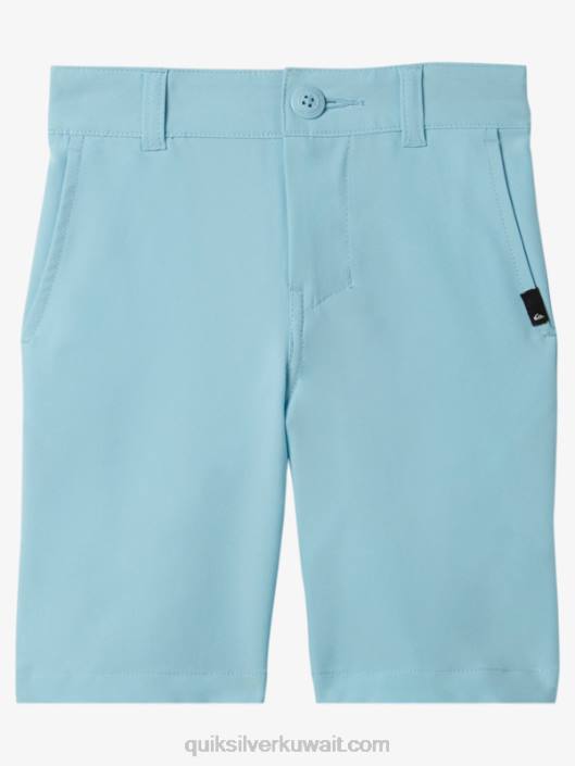 2-7 اتحاد المحيط 14 شورتًا برمائيًا Quiksilver أولاد 68002088 السماء الزرقاء