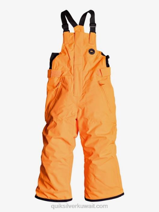 2-7 بنطال ثلج برتقالي معزول من الرقصة Quiksilver أولاد 68002295 صادم البرتقالي