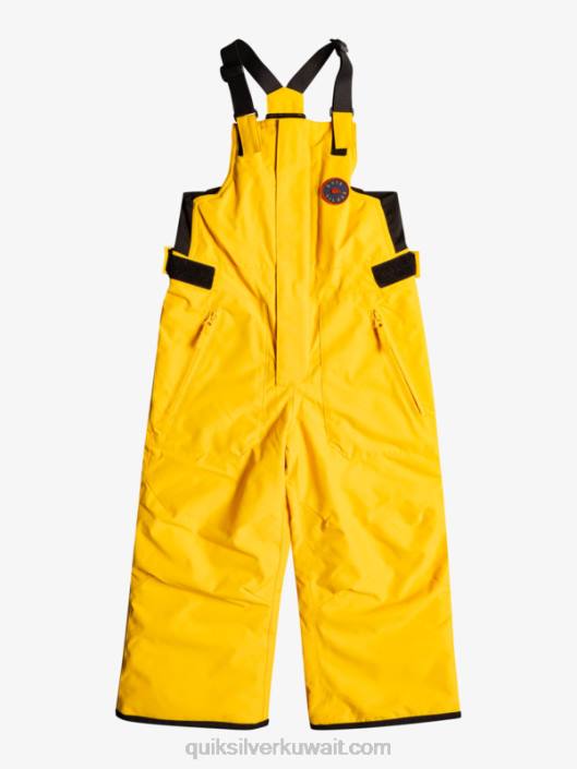 2-7 بنطال سنو بوغي Quiksilver أولاد 68002297 قضيب ذهبي
