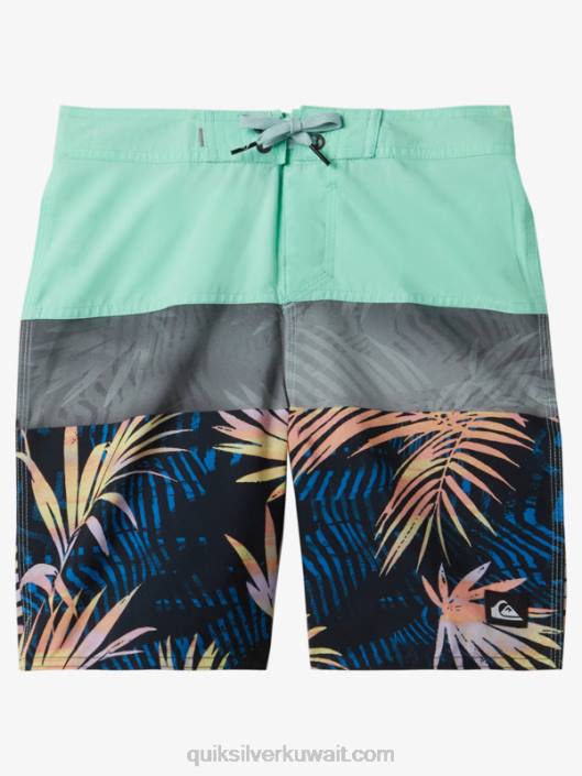 8-16 لوحة كل يوم 17 شورت Quiksilver أولاد 68001907 زجاج الشاطئ