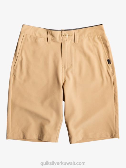8-16 اتحاد المحيط 19 شورتًا برمائيًا Quiksilver أولاد 68001935 بلاج