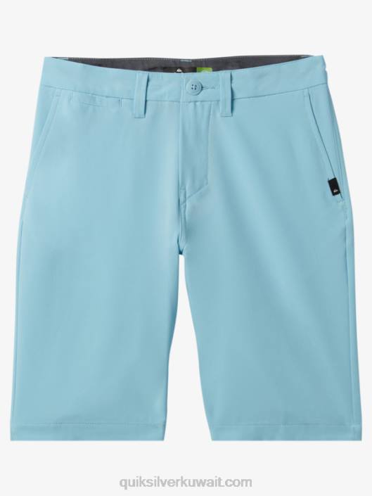 8-16 اتحاد المحيط 19 شورتًا برمائيًا Quiksilver أولاد 68001936 السماء الزرقاء