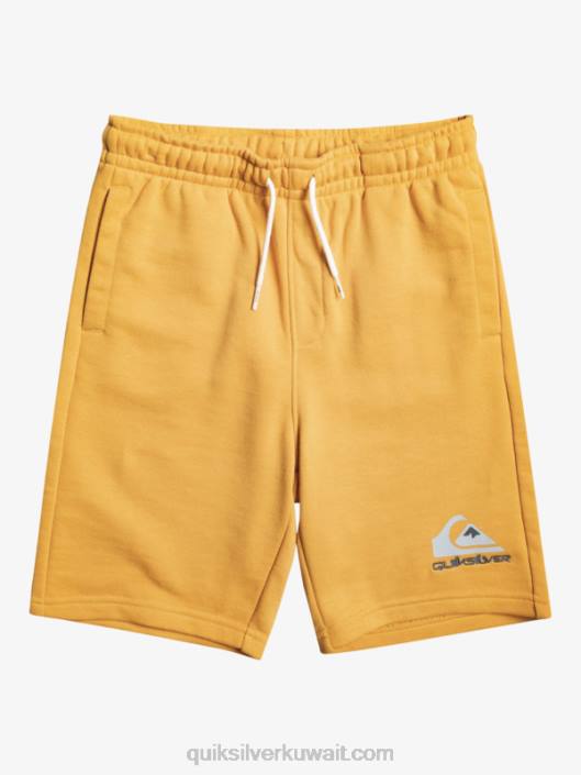 8-16 ركض نهاري سهل Quiksilver أولاد 68002071 ذهب لامع