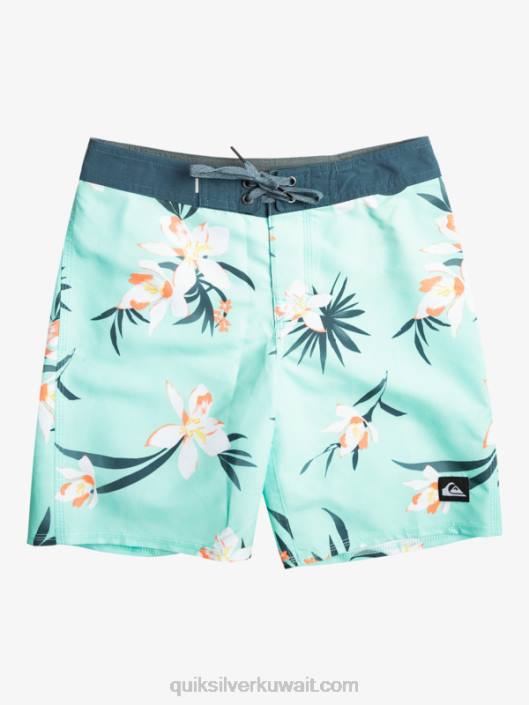 8-16 qs كل يوم 69 16 شورت Quiksilver أولاد 68002140 زجاج الشاطئ