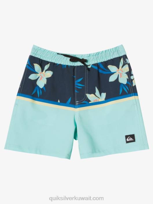 8-16 تقسيم سطحي vl 14 وابل Quiksilver أولاد 68002141 زجاج الشاطئ