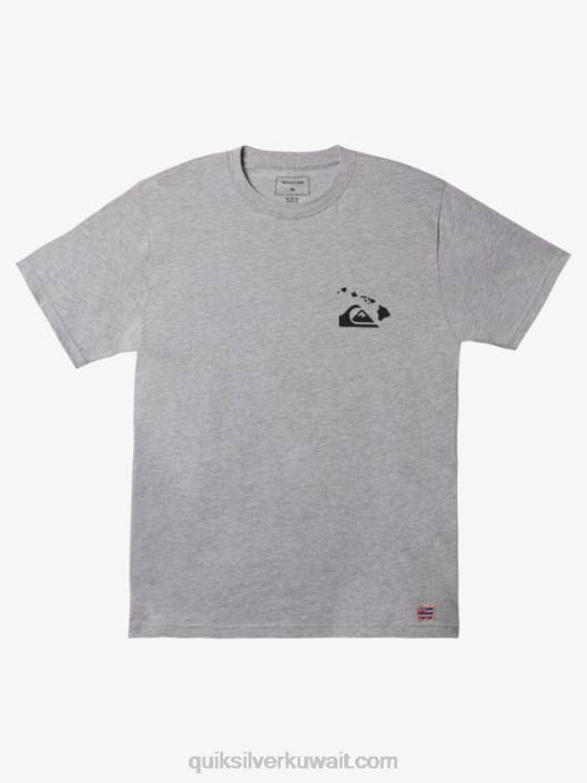 تي شيرت هاواي مزدوج خطاف السمكة Quiksilver رجال 68001113 خلنج رياضي