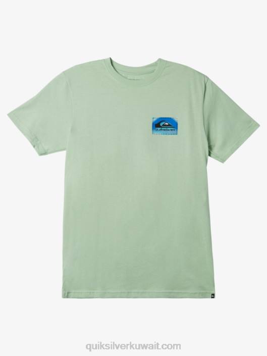 تي شيرت بلون التدفق Quiksilver رجال 68001203 شجرة التنوب