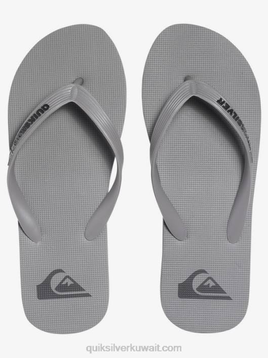 شبشب مولوكاي Quiksilver رجال 68001590 رمادي