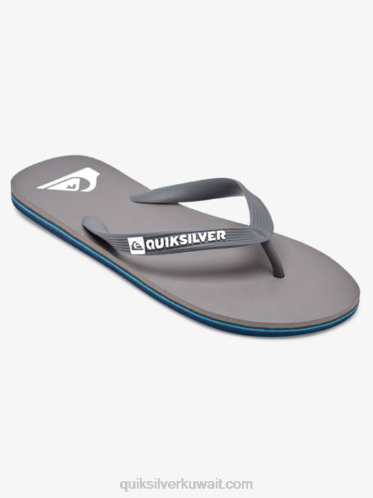 شبشب مولوكاي Quiksilver رجال 68001592 رمادي 3